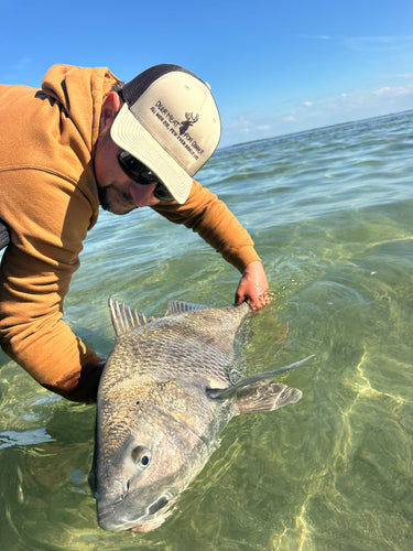 Austin Crocker releasing a large fish in shallow water with a clear sky background wearing a DMFD hat